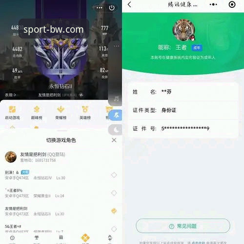 宝威体育平台下载哪个好 如何选择宝威体育平台下载?专业分析师详解BWSPORTS注册与A7K3平台下载体验