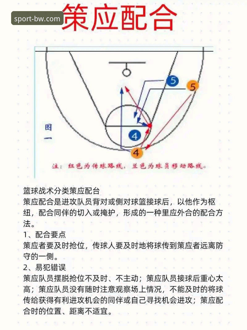 CBA季后赛观赛实用指南：用宝威体育平台深度解析山西横扫青岛的战术细节